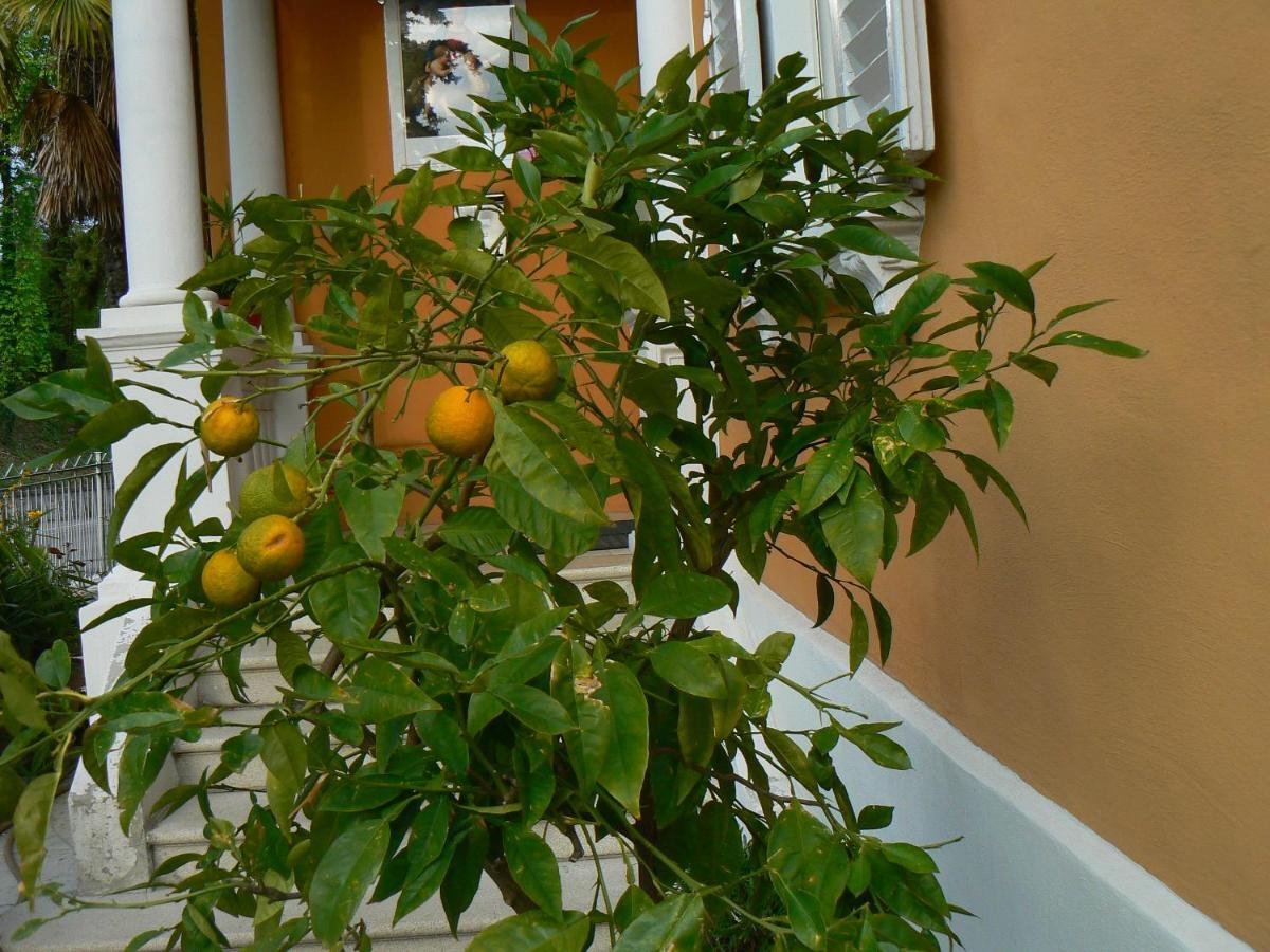B&B Aquilone Урбино Экстерьер фото